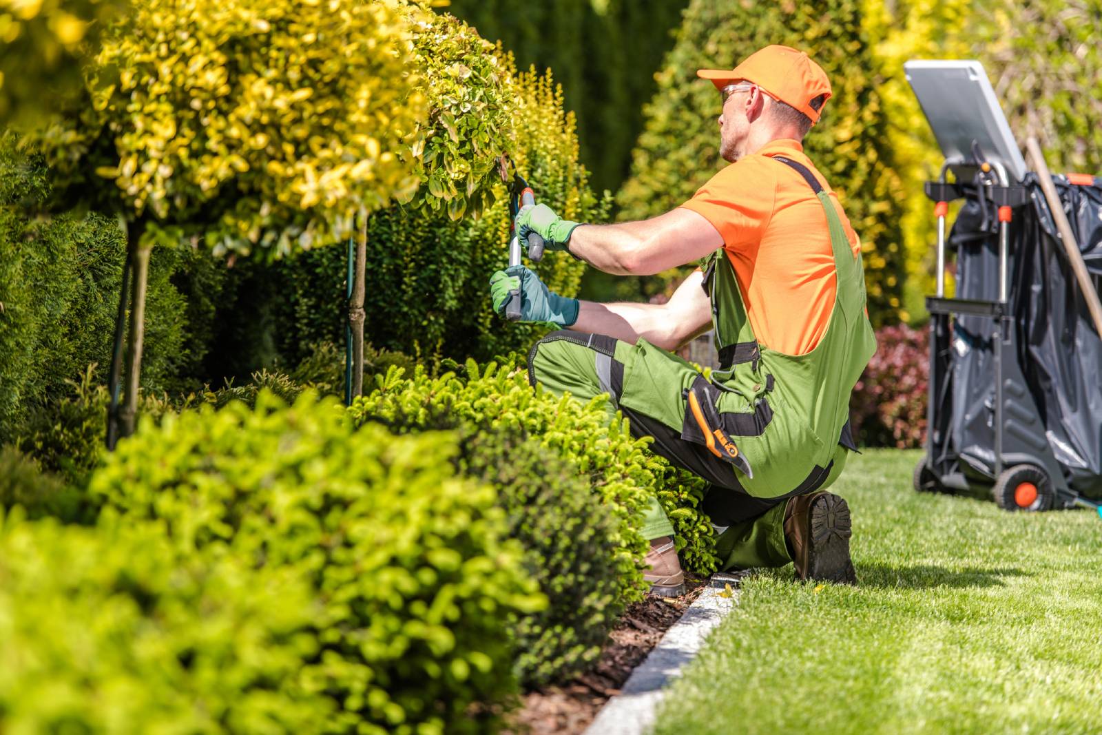 Landscaping-Contractors St Louis Metro East Landscaping Service